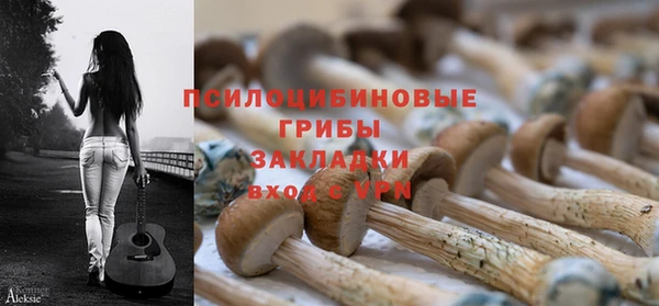 героин Алексин
