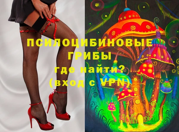 ГАЛЛЮЦИНОГЕННЫЕ ГРИБЫ Алексеевка