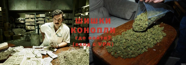 ГАЛЛЮЦИНОГЕННЫЕ ГРИБЫ Алексеевка