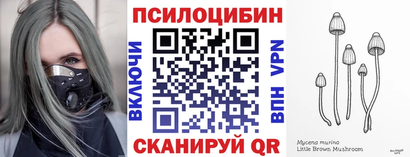 Псилоцибиновые грибы MAGIC MUSHROOMS  закладки  Киселёвск 